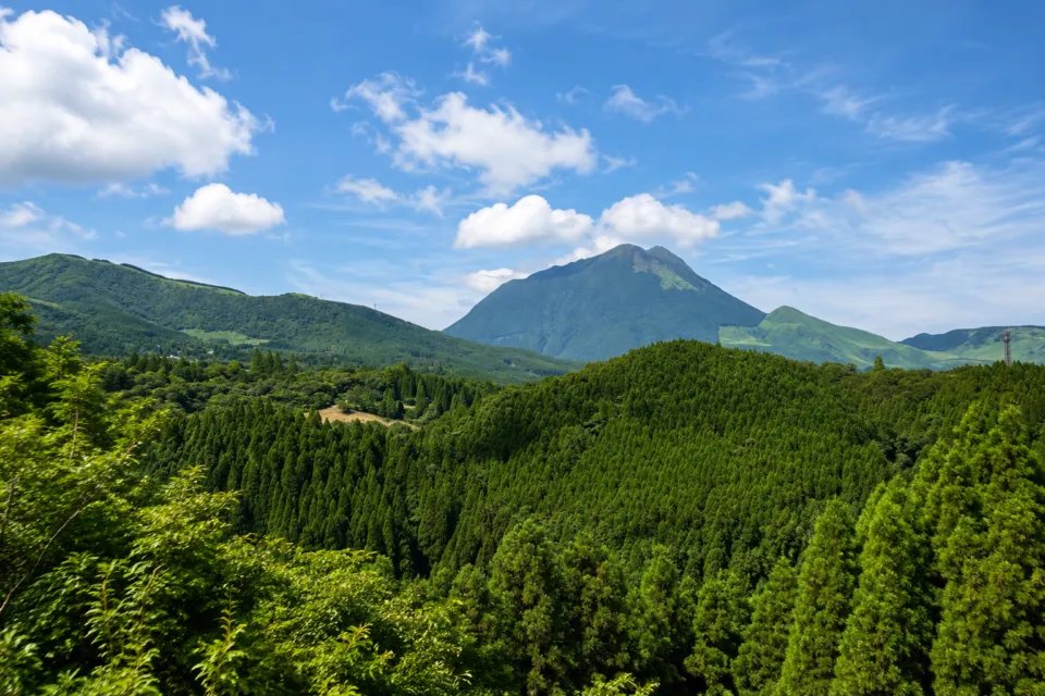 草屋根の宿 龍のひげ／別邸 ゆむたの由布岳を望む山並み