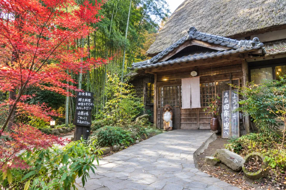 高森田楽の里の茅葺き屋根の母屋入口