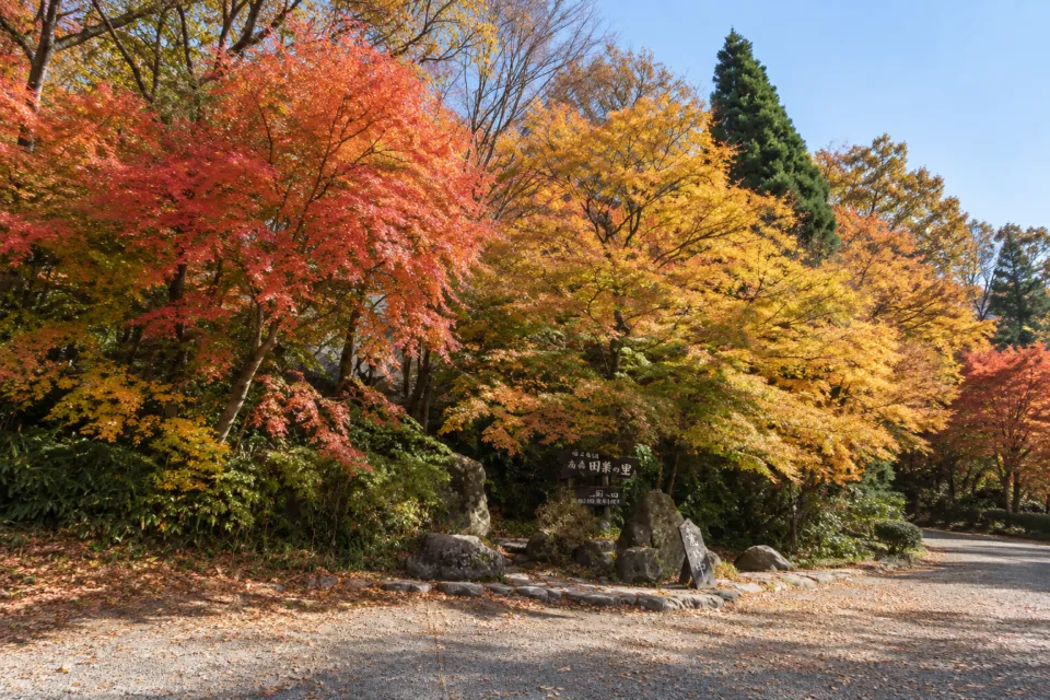 高森田楽の里の敷地内の紅葉と石組み