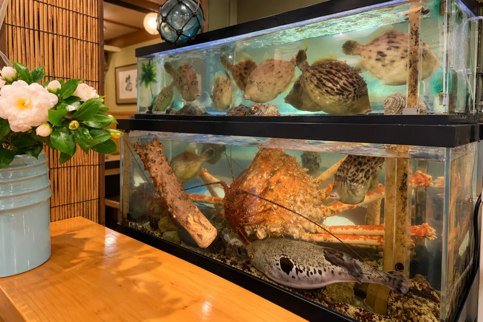 うわじまの料理や 有明の活魚が泳ぐ水槽
