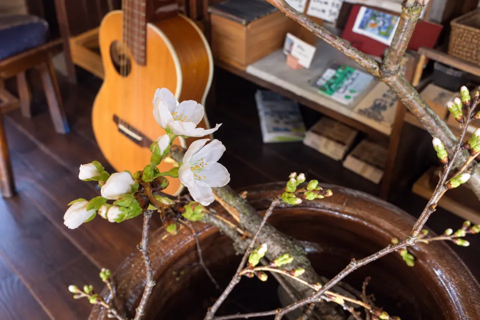 山町茶屋の花の枝とギターを配した店内