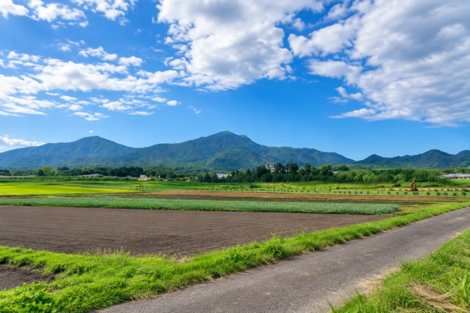 やまな食堂の店裏に広がる蒜山の山々と田畑