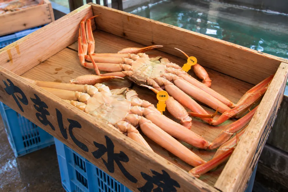 やまに水産の木箱に並ぶ三国港の越前がに