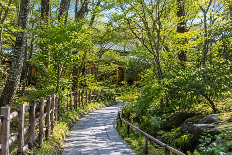 由布院 玉の湯の木立の間を通る庭園の小径