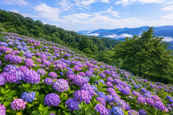 美の山公園