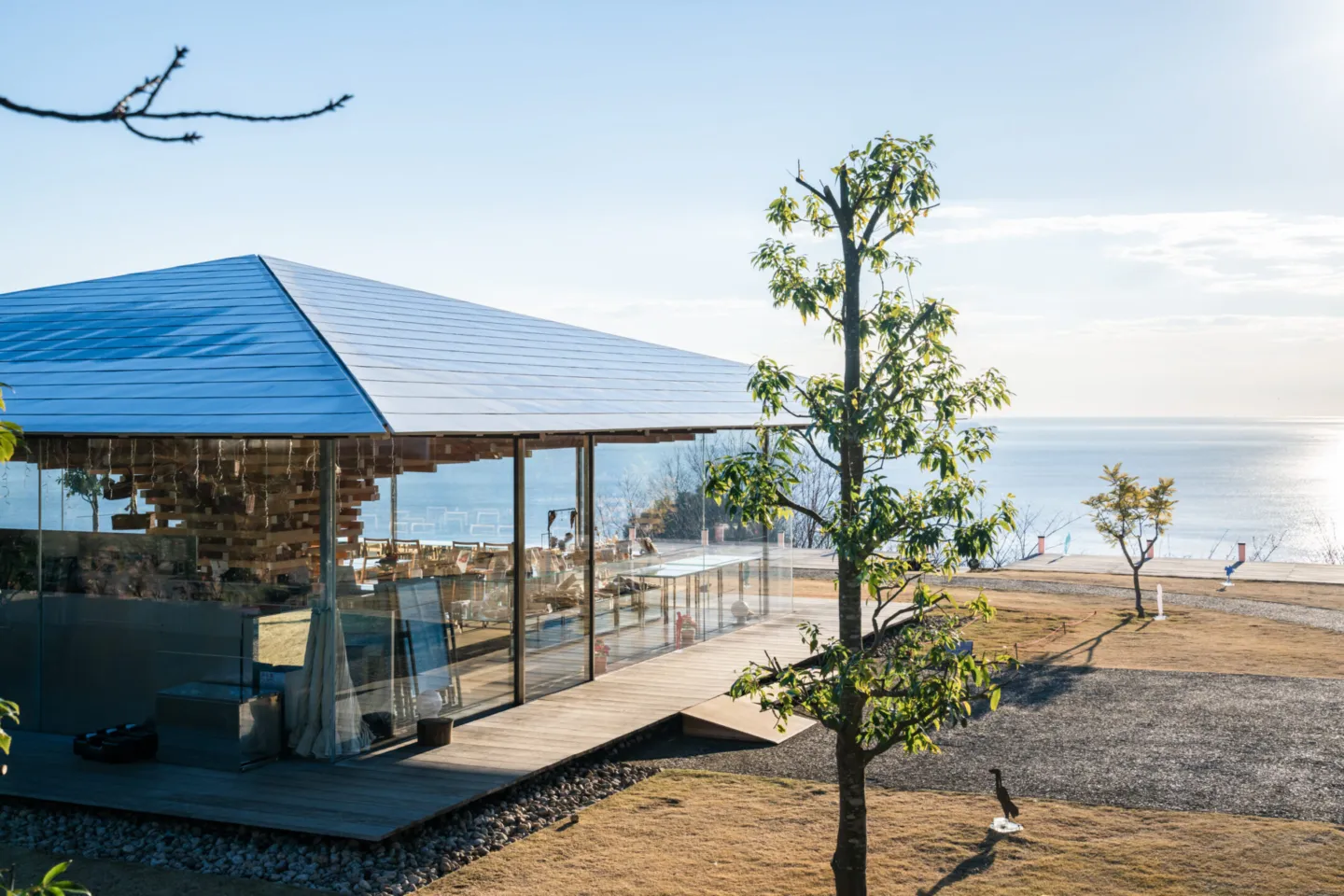 アカオフォレスト