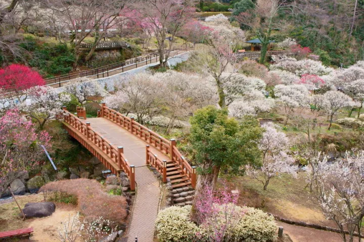 熱海梅園