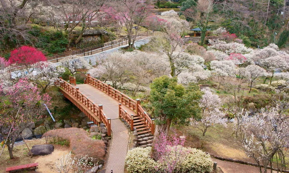 熱海梅園