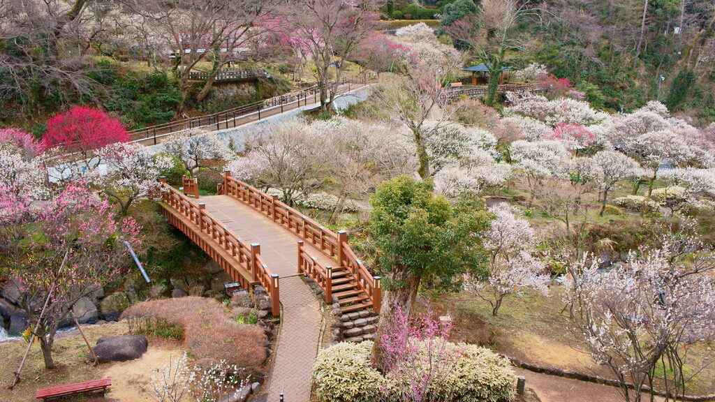 熱海梅園