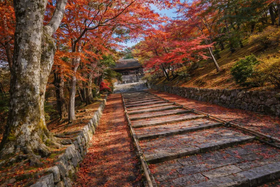 毘沙門堂門跡