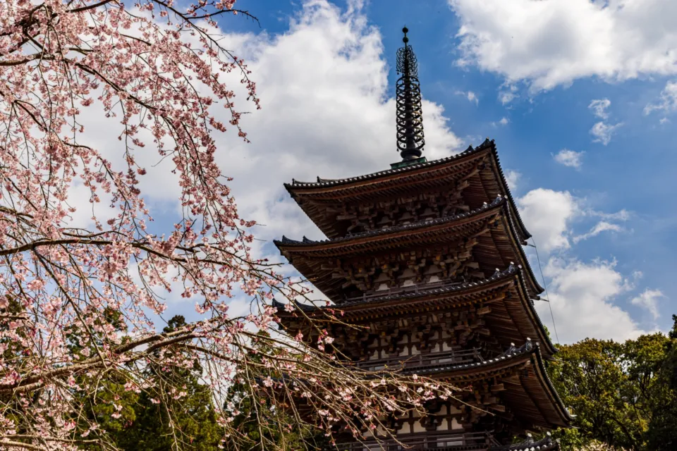 醍醐寺