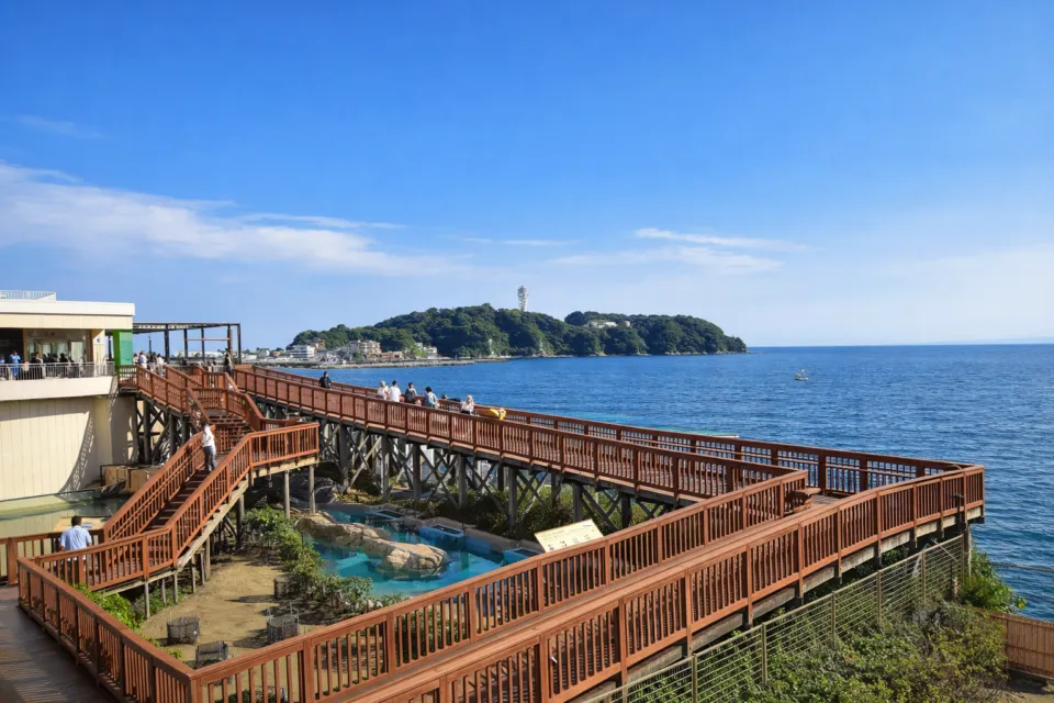 新江ノ島水族館