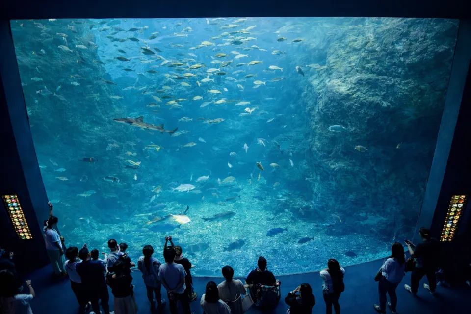 新江ノ島水族館