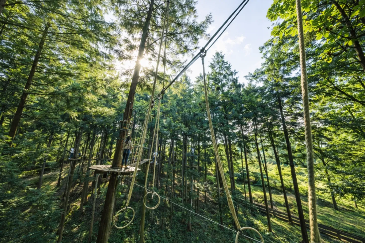フォレストアドベンチャー・秩父