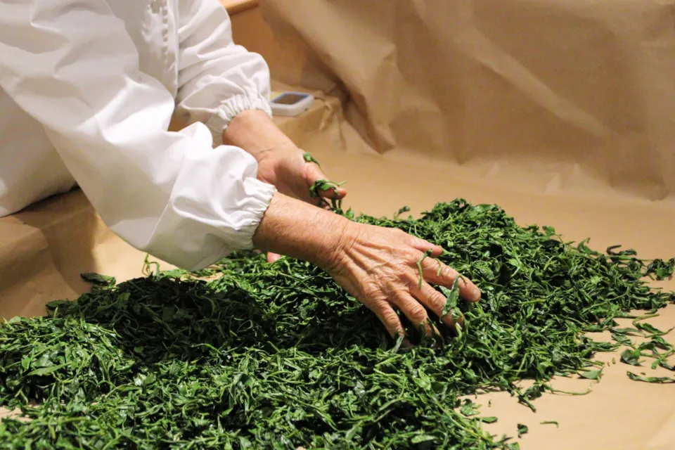 ふじのくに茶の都ミュージアム