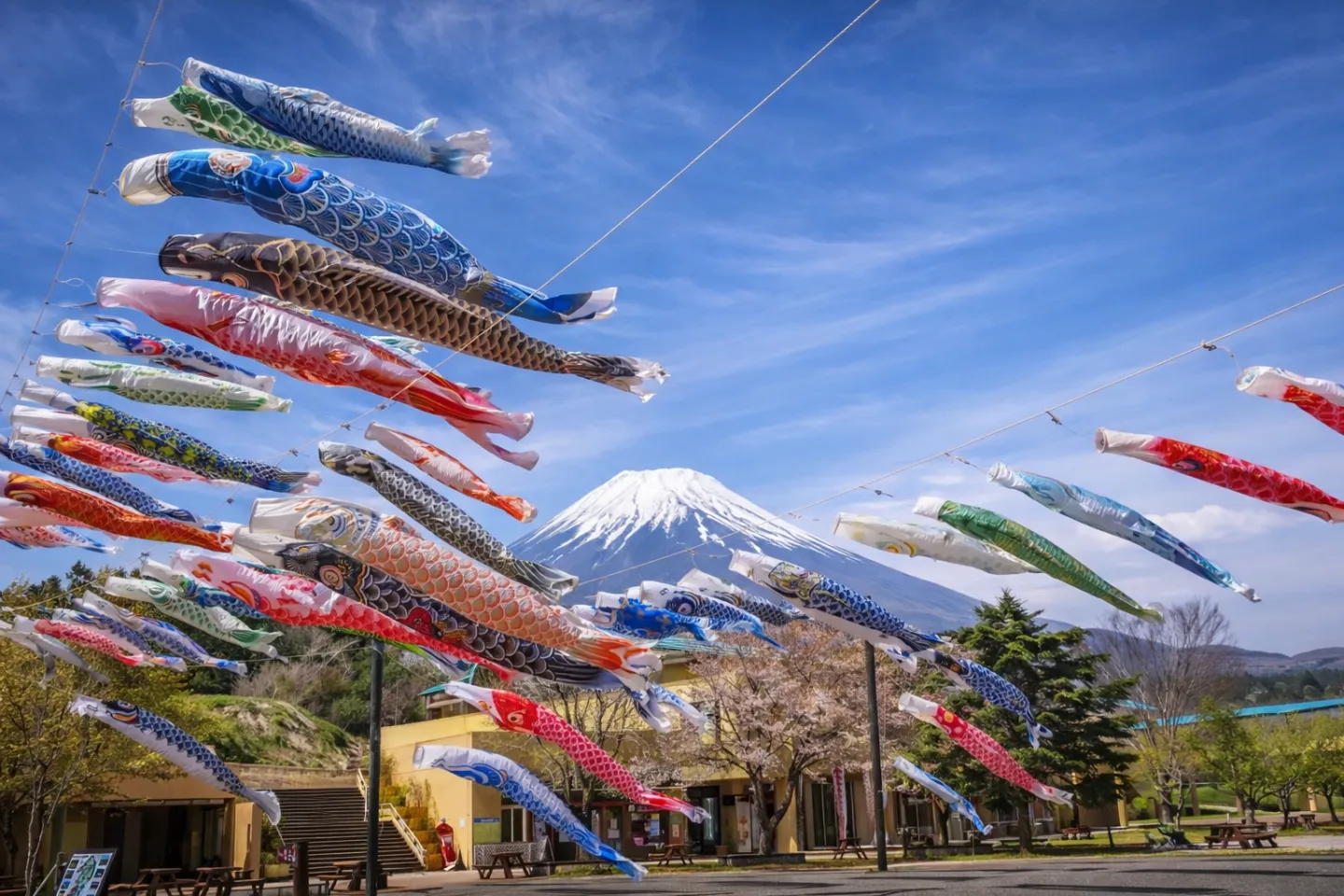 富士山こどもの国