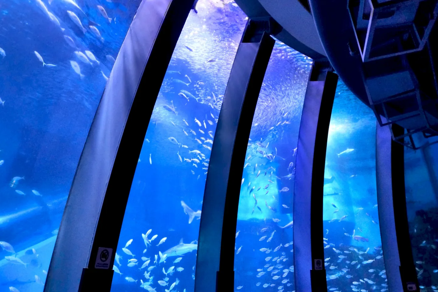 八景島シーパラダイス