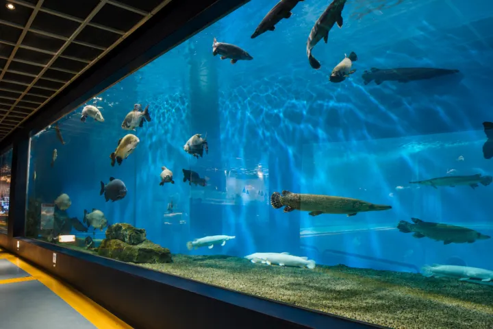 箱根園水族館