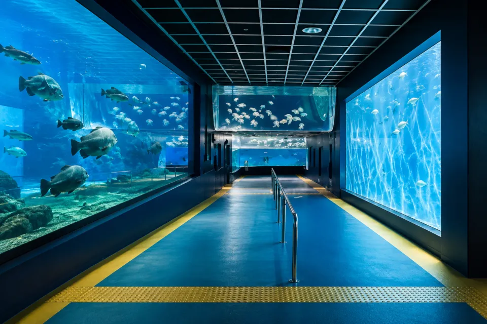 箱根園水族館