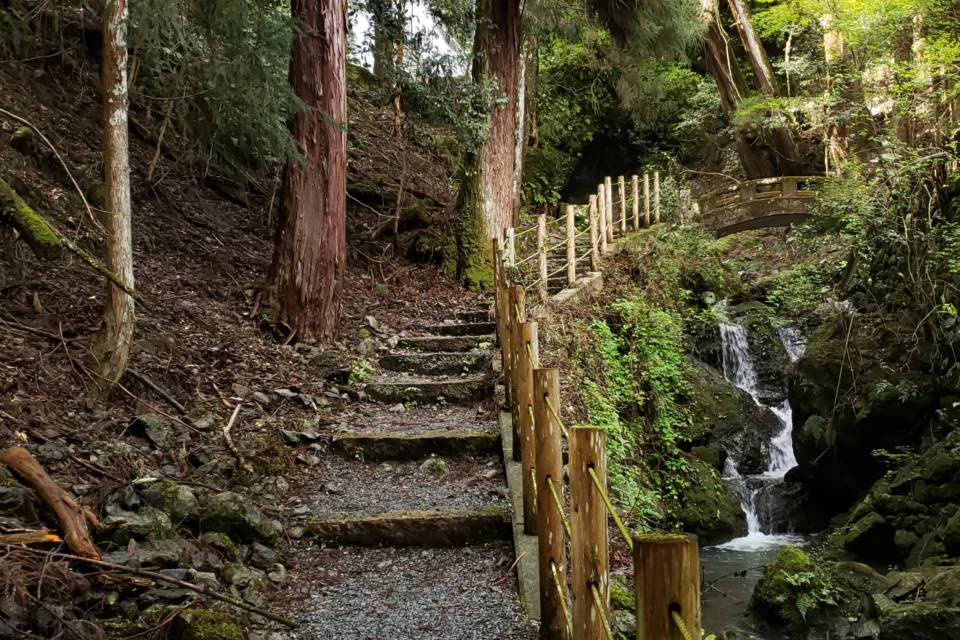 箱根飛龍の滝の遊歩道