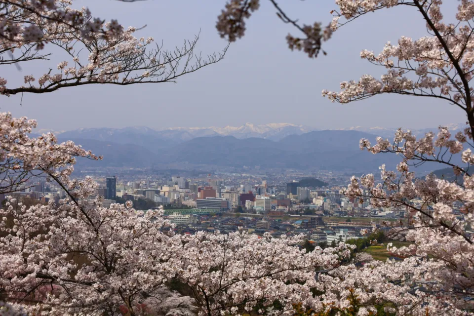 花見山公園