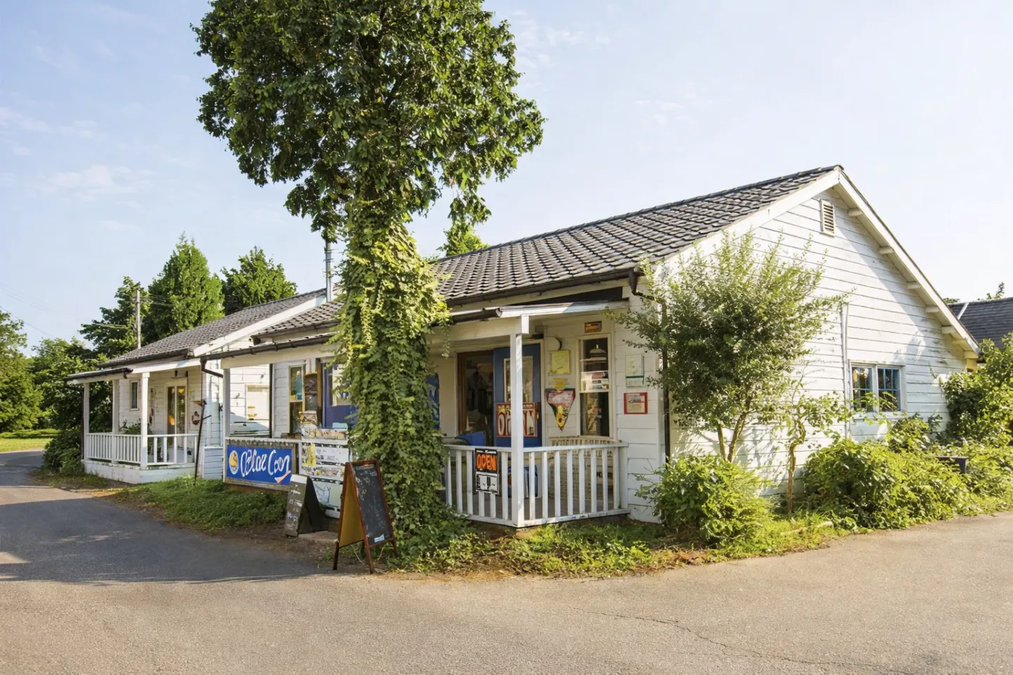 ジョンソンタウン