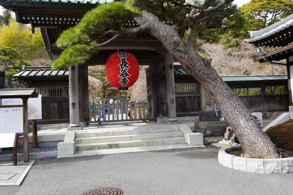 長谷寺（鎌倉）