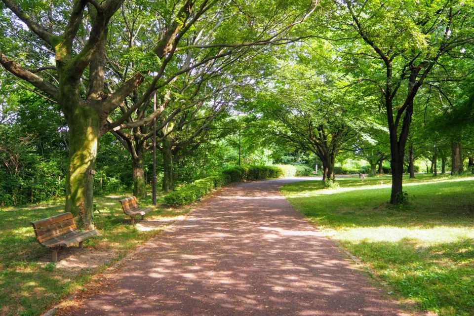 川越水上公園