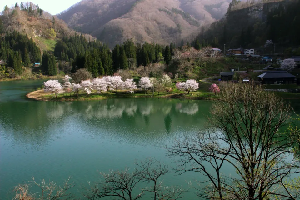 霧幻峡