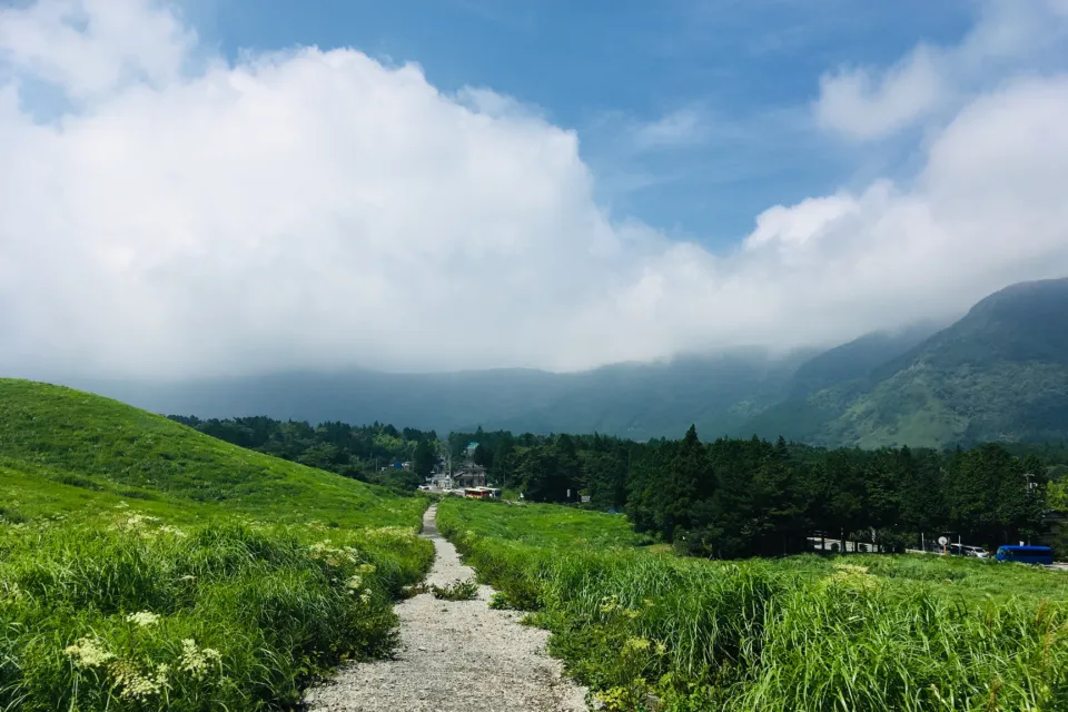 仙石原高原の夏