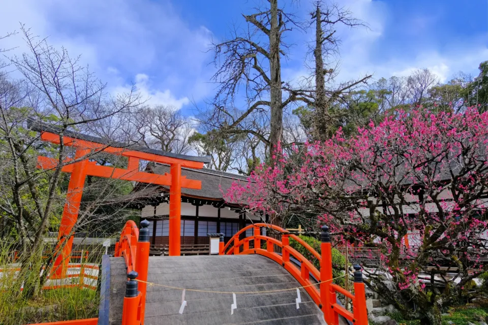 下鴨神社（賀茂御祖神社）