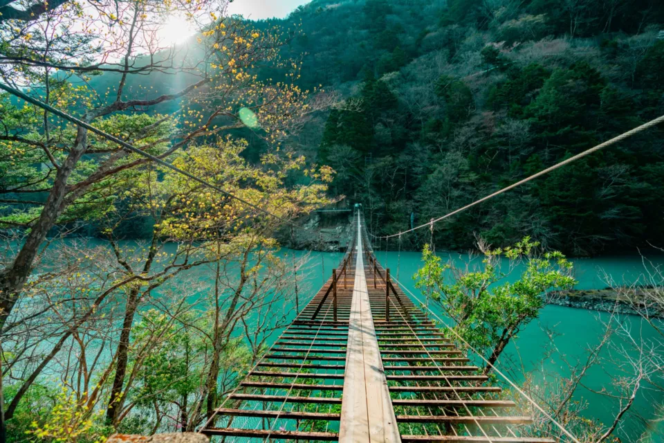 寸又峡