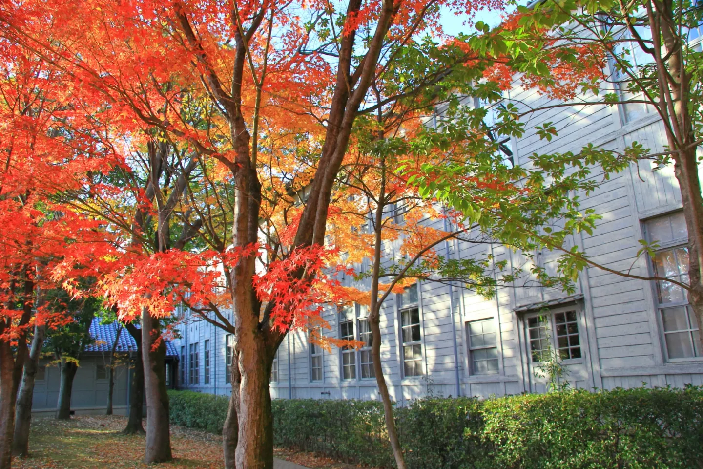 あがたの森公園