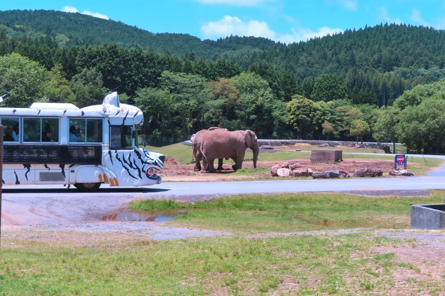 秋吉台自然動物公園 サファリランド