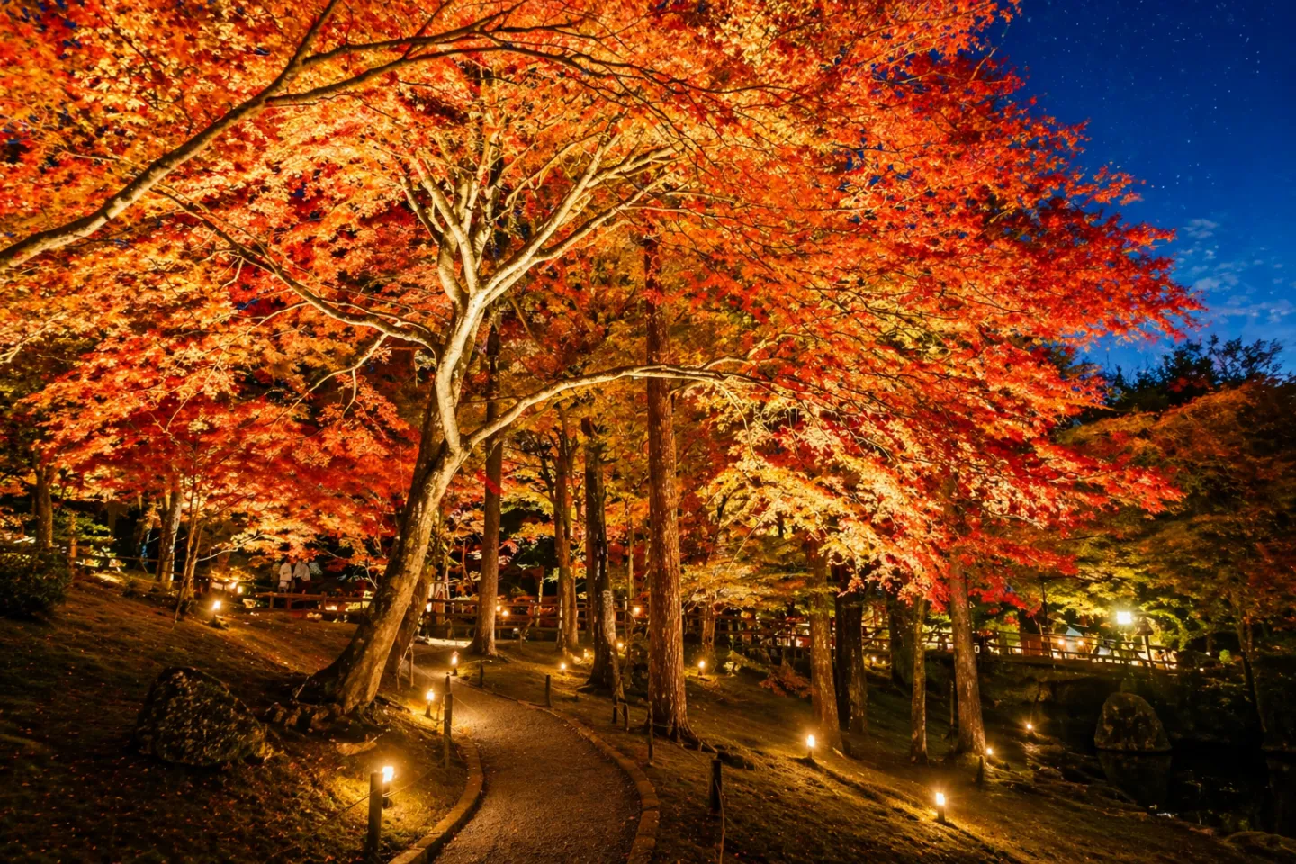 旭日丘湖畔緑地公園