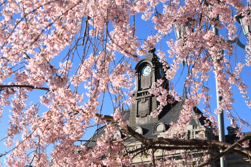 山形県郷土館 文翔館