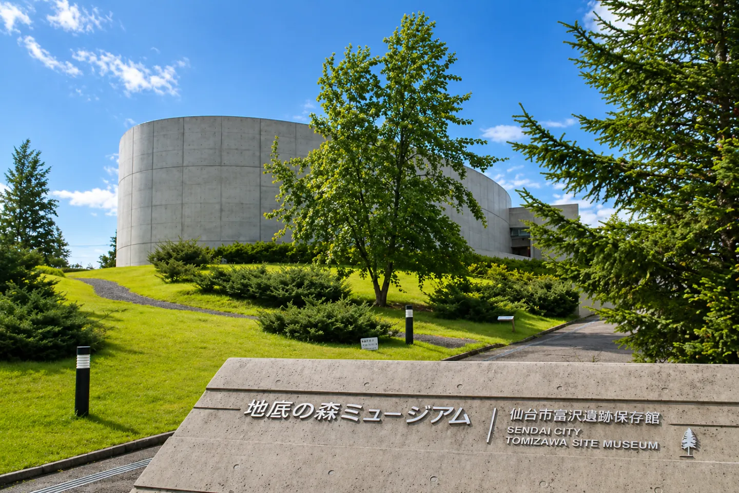 地底の森ミュージアム