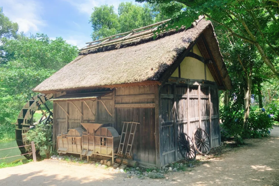 大王わさび農場