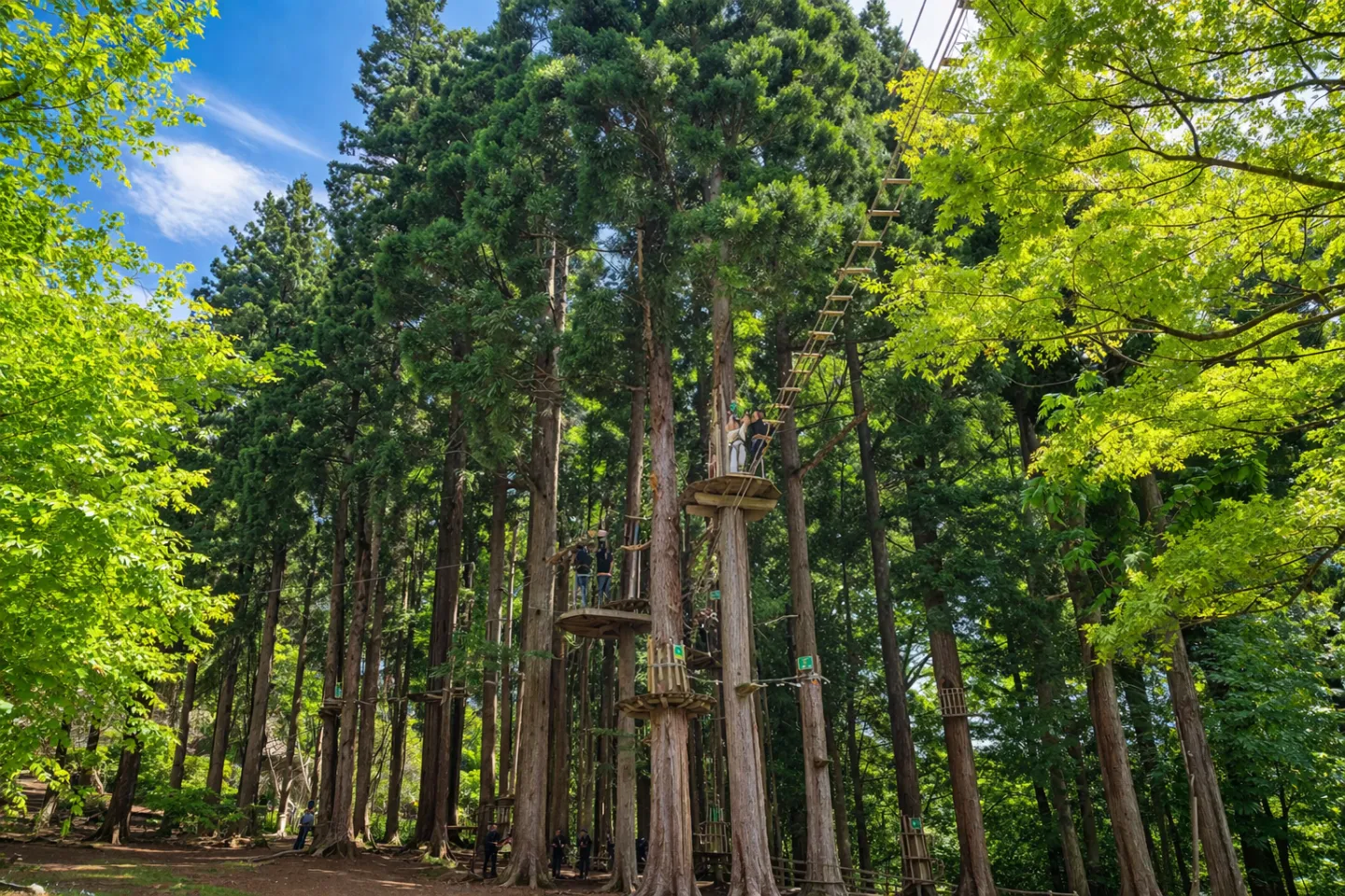 フォレストアドベンチャー湯沢中里