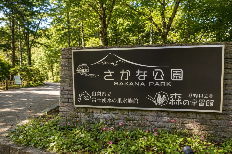 山梨県立富士湧水の里水族館 森の中の水族館
