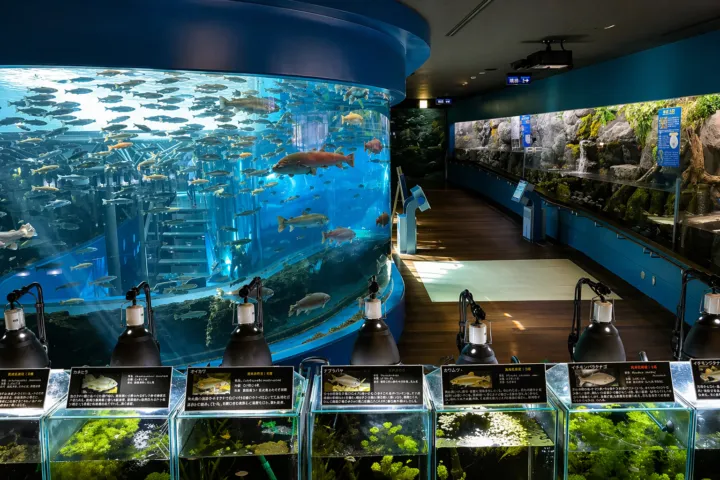 山梨県立富士湧水の里水族館 森の中の水族館