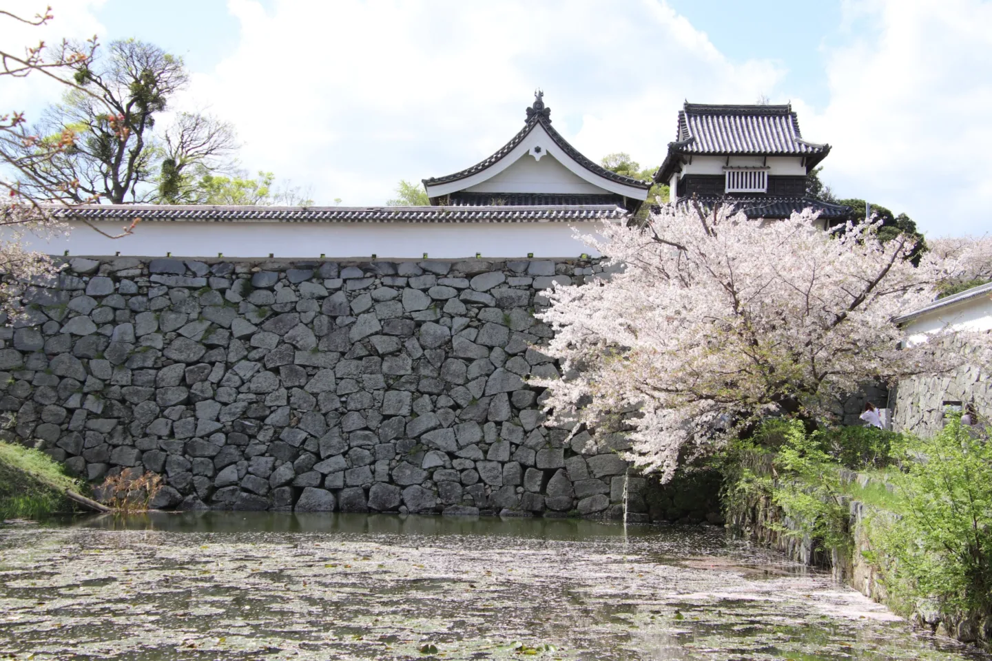 福岡城