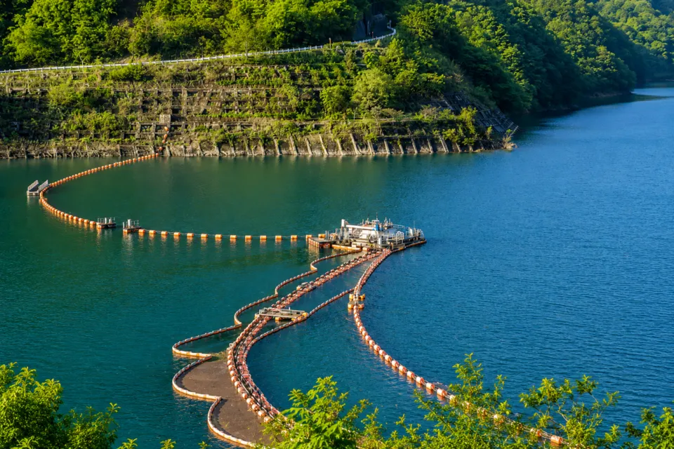 月山湖大噴水