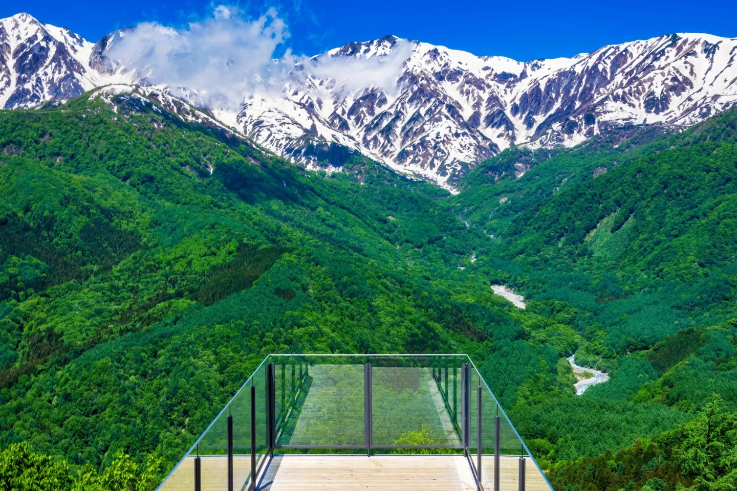 白馬岩岳マウンテンリゾート