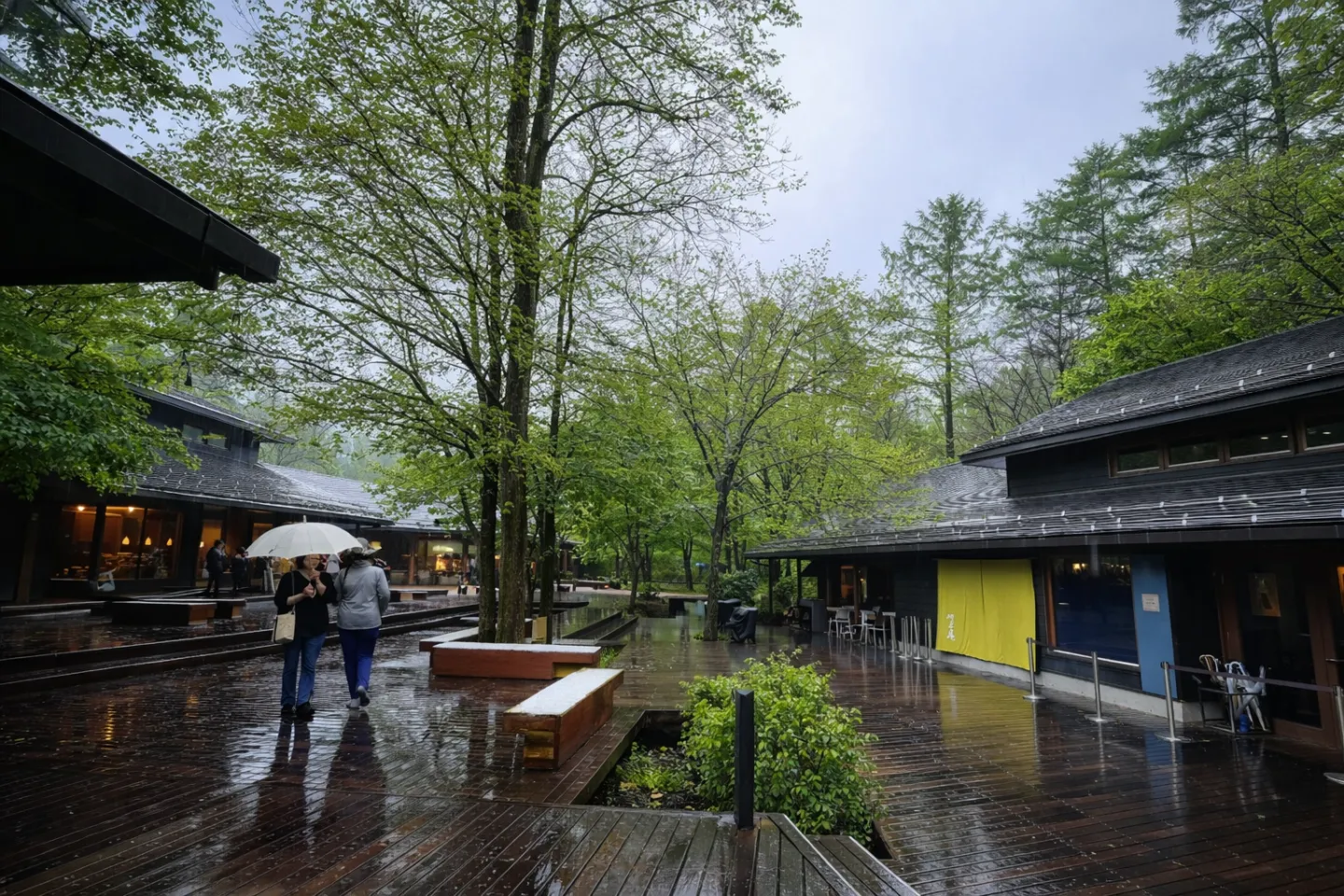 ハルニレテラス