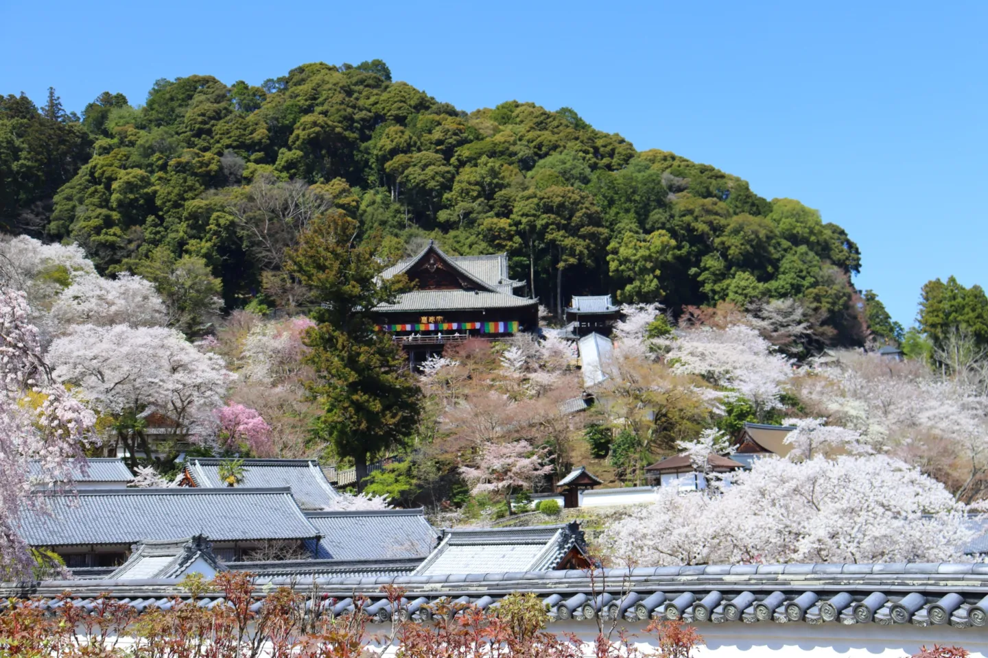 長谷寺（奈良県）