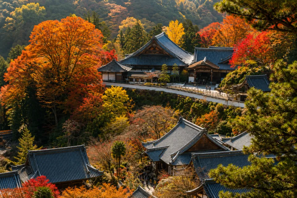 長谷寺(奈良県)