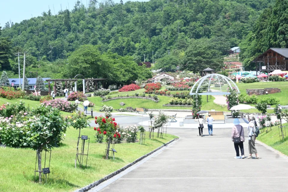 東沢公園