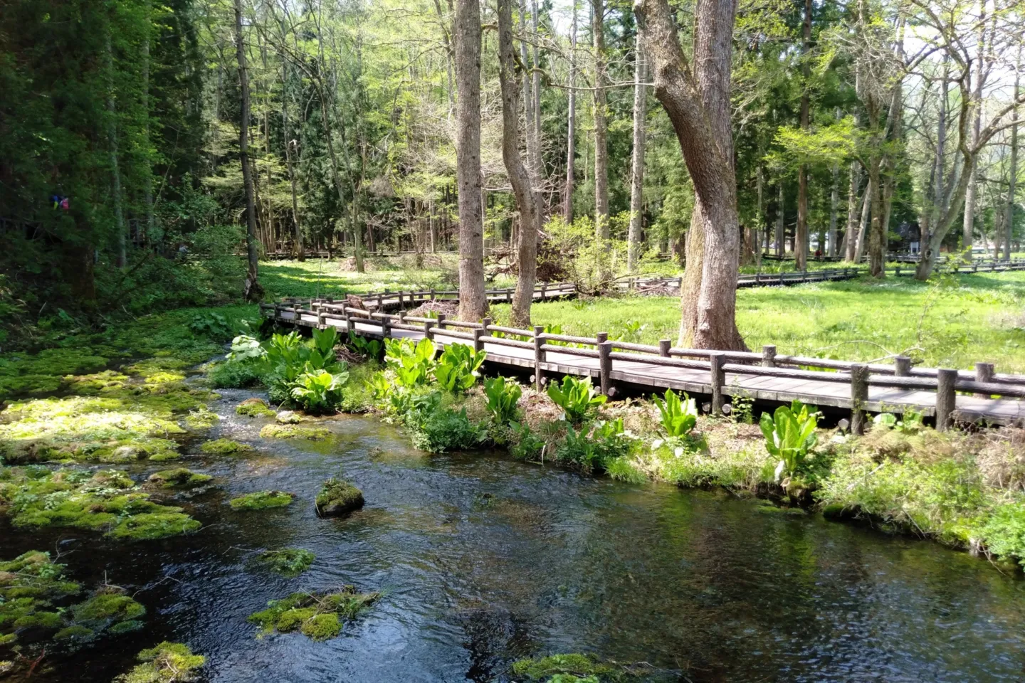 姫川源流自然探勝園