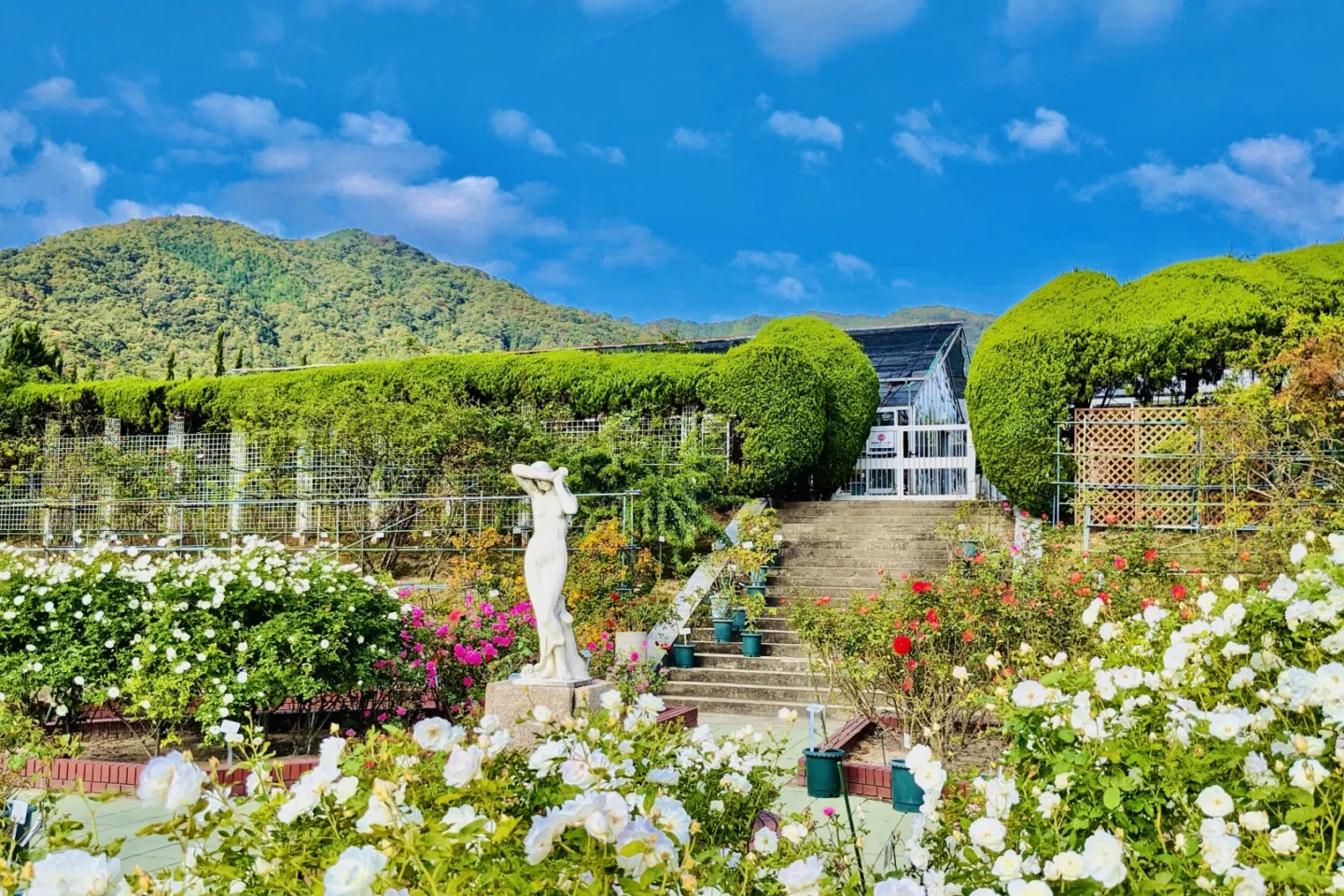 広島市植物公園